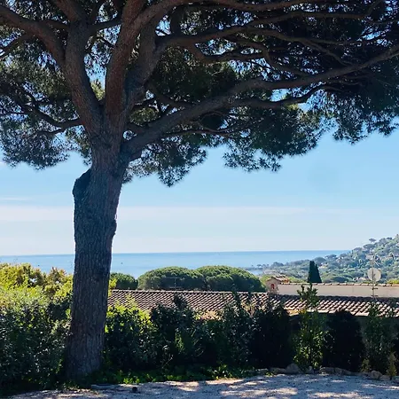Villa De Luxe Maxime *